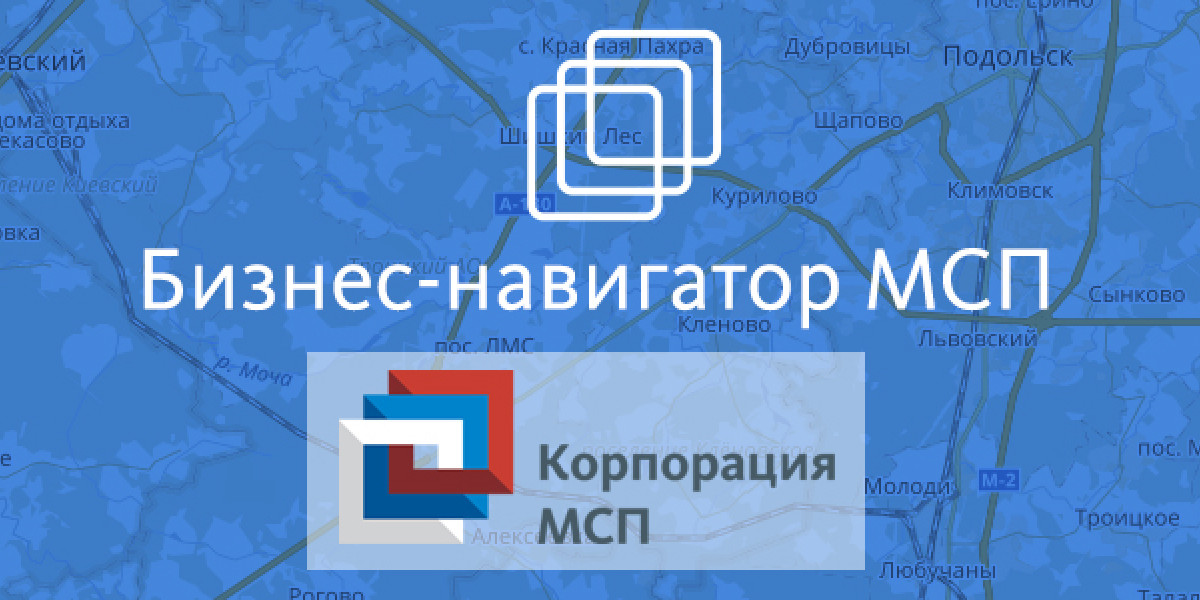 Бизнес навигатор мсп карта