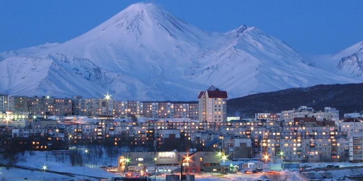 Петропавловск камчатский 38. Камчатка город Петропавловск Камчатский кирпичики. Петропавловск-Камчатский центр города зима.